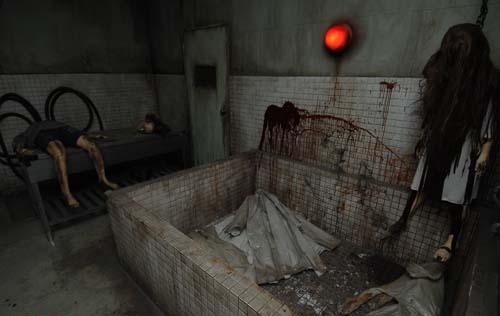 �����˵��˼�����������Ժ �й���ֲ�������������������