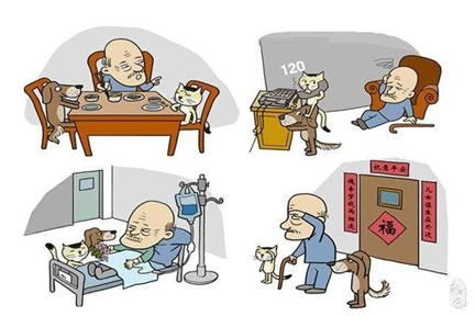 �µ�����Т�ֱ���ʲô�����˼��� �²�Т��������������û��û��