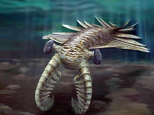 ˶���ޱȵ���Ϻ����ʵ��ԭͼƬ ���������ĺ���Ͷ������ó���