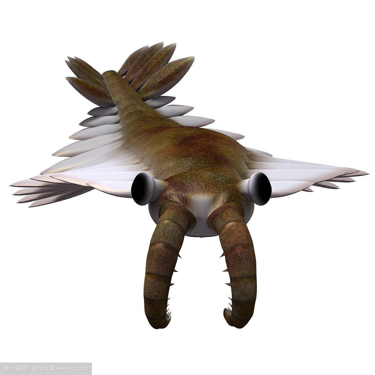 ˶���ޱȵ���Ϻ����ʵ��ԭͼƬ ���������ĺ���Ͷ������ó���