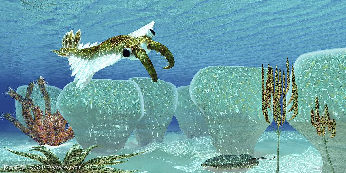 硕大无比的奇虾最真实还原图片 不愧是最大的寒武纪动物它好吃吗