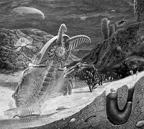 ˶���ޱȵ���Ϻ����ʵ��ԭͼƬ ���������ĺ���Ͷ������ó���