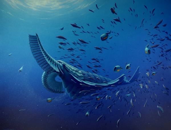 可在44亿多年前,奇虾神秘地灭绝了