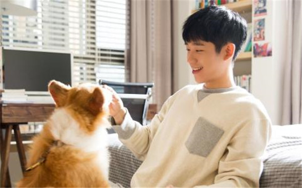 �������Ҿ����Ϊʲô���� �������Ǹ�ʲô��������Ʒ���۰�һ��