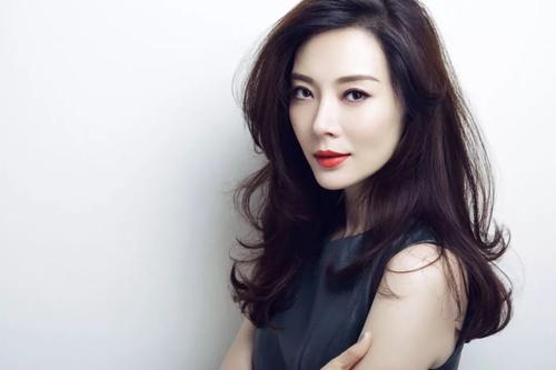 陈数的个人资料和图片 陈数结过几次婚第一任老公是谁有孩子吗