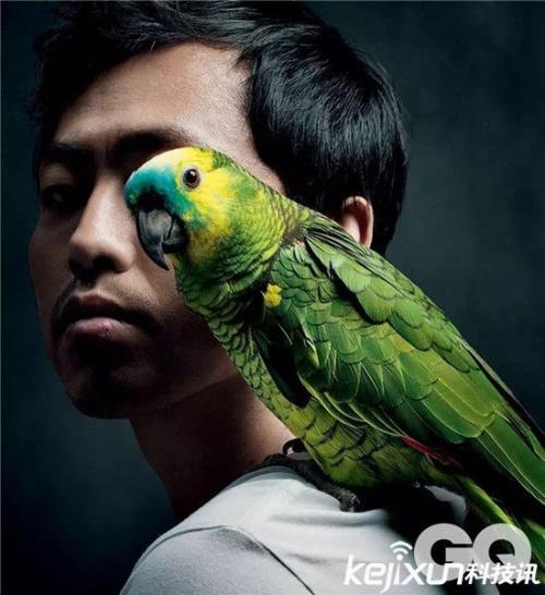 ���������������ڼ����ձ���������ʲôˮƽ �ձ�������������