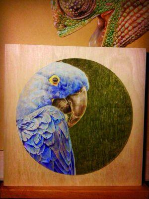 ���������������ڼ����ձ���������ʲôˮƽ �ձ�������������