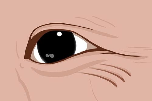 �����������ǲƻ����� �ܹ�����������������ʲôԤ�� �Ǽ�����