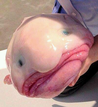 ˮ��������˱��ֿ������˵�ͼƬ�ڴ� ˮ������ô���óԻ�û��