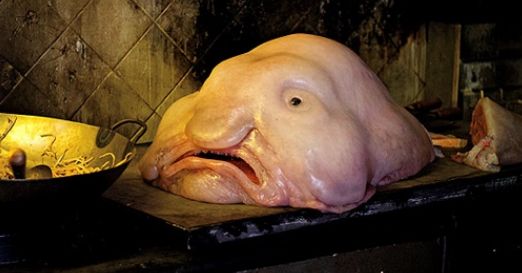 ˮ��������˱��ֿ������˵�ͼƬ�ڴ� ˮ������ô���óԻ�û��