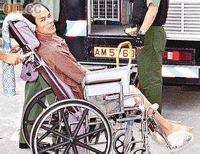 Ҷ�̻�����ǿ�߻������γ϶���ȫ���� Ҷ�̻���������������ǿ