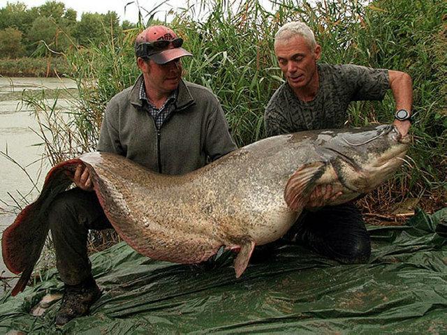 ����ʮ�������͵�ˮ�� ���ǿ����ǵģ����࣢�����ݾ��Ѿ�������