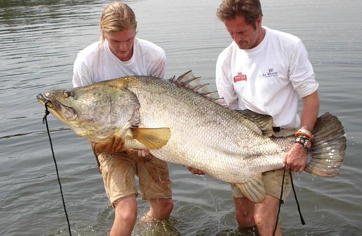 ����ʮ�������͵�ˮ�� ���ǿ����ǵģ����࣢�����ݾ��Ѿ�������