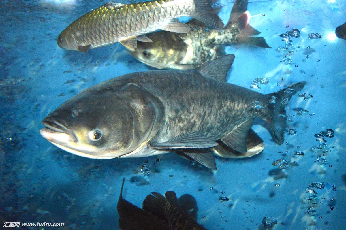 ����ʮ�������͵�ˮ�� ���ǿ����ǵģ����࣢�����ݾ��Ѿ�������