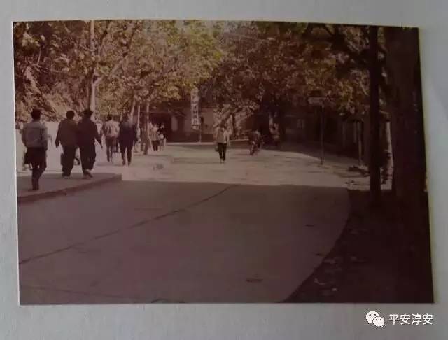 ǧ�����¼����� 1994��ǧ�����Ұ���Ļ����ϸ��ͼ������˭ץ����