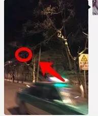 ǧ�����¼����� 1994��ǧ�����Ұ���Ļ����ϸ��ͼ������˭ץ����