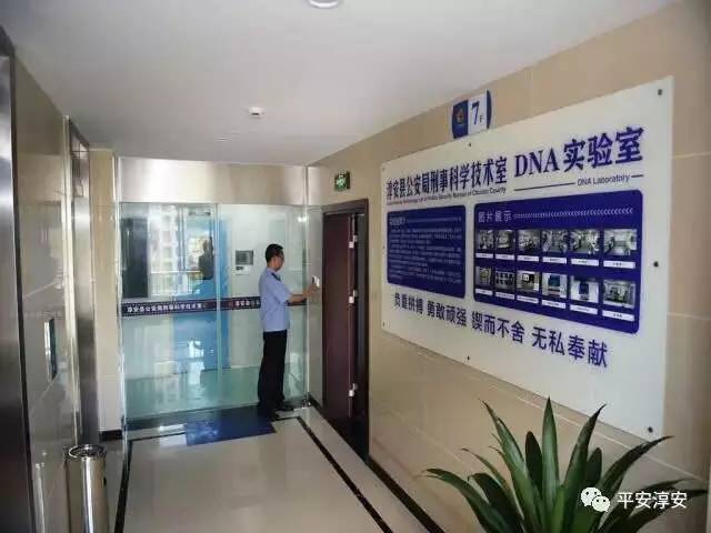 ǧ�����¼����� 1994��ǧ�����Ұ���Ļ����ϸ��ͼ������˭ץ����