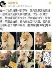 唐艺昕家庭背景强硬惹不起 张若昀和唐艺昕领证了隐婚天涯
