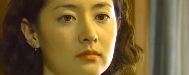 ��Ӣ���𻨽��