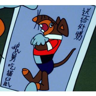 �����ϻ���Ĵ��ڳ�è�� ��è��Ѭ��ɱ����èȫ���̵�ͼƬ