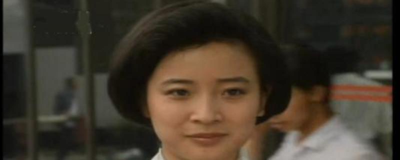 ���Ӿ���������������ʲô