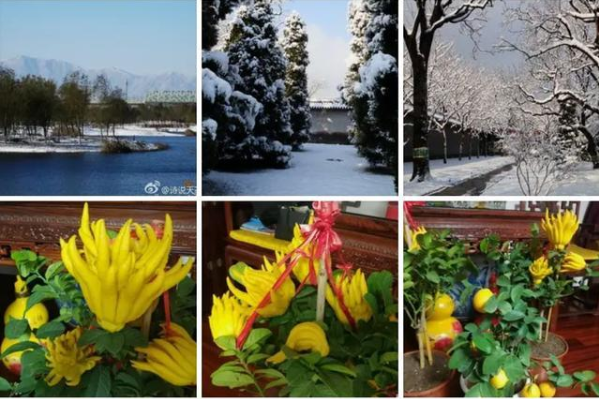 赵忠祥身体近况如何得的什么病病情真实情况 赵忠祥最近状况视频