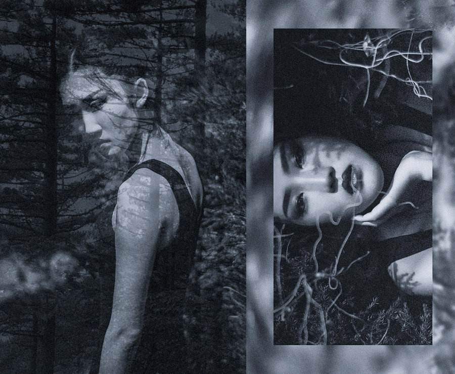 ����ʮ�������������ԭ�� ������������𵽵���ʲô�ֲ�֮��