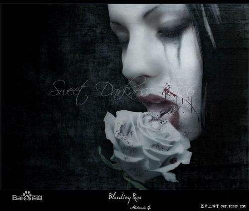 ����ʮ�������������ԭ�� ������������𵽵���ʲô�ֲ�֮��