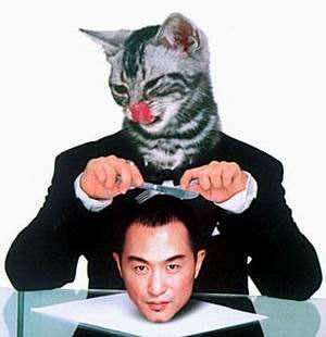 ���ָ߷�ΪʲôŪ�Ǹ��������ֲ���ר������ �߷��������ù���֤