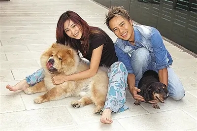 李克勤为什么娶卢淑仪 李克勤和卢淑仪的爱情是怎么认识在一起的