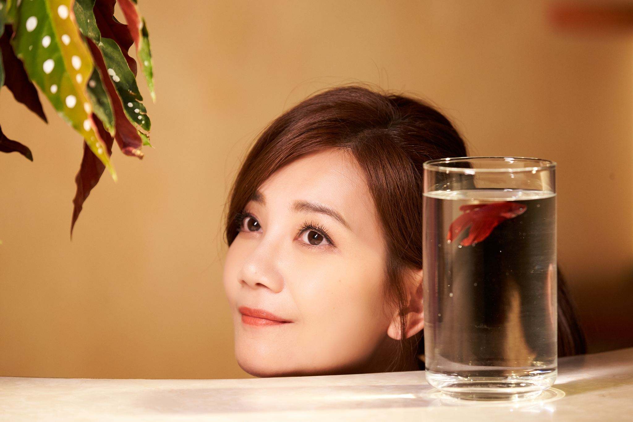 ��ɯ���װ�����������Ϊʲô��Ȣ�� ��������ɯΪʲô����ԭ��