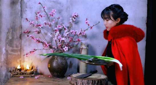 �����������ѵ�����Ҫ�� �����⽻�����������������ʷҹ����Ƭ