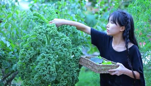 �����������ѵ�����Ҫ�� �����⽻�����������������ʷҹ����Ƭ