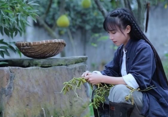 �����������ѵ�����Ҫ�� �����⽻�����������������ʷҹ����Ƭ