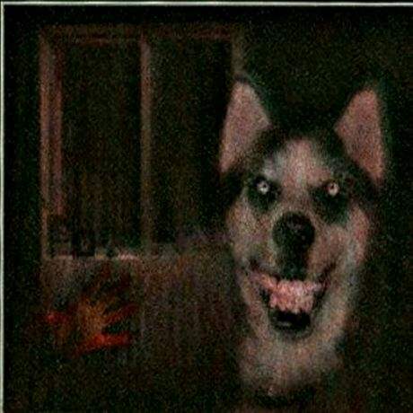 ΢Ц��smile.jpg�ȸ�ԭͼ���� ��smile dog���붯̬ͼ�Ķ������