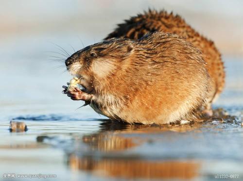 ��¶������30�����������ʵͼ �й����������ж��