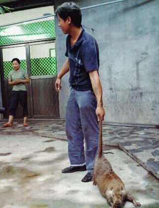 ��¶������30�����������ʵͼ �й����������ж��