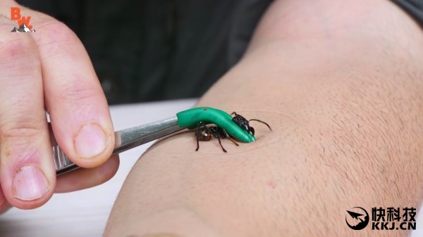 ���ӵ���ҧ������е�һ������ �ӵ�������ʲô �ӵ��ϳ��������