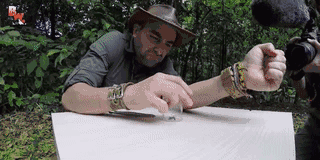 ���ӵ���ҧ������е�һ������ �ӵ�������ʲô �ӵ��ϳ��������