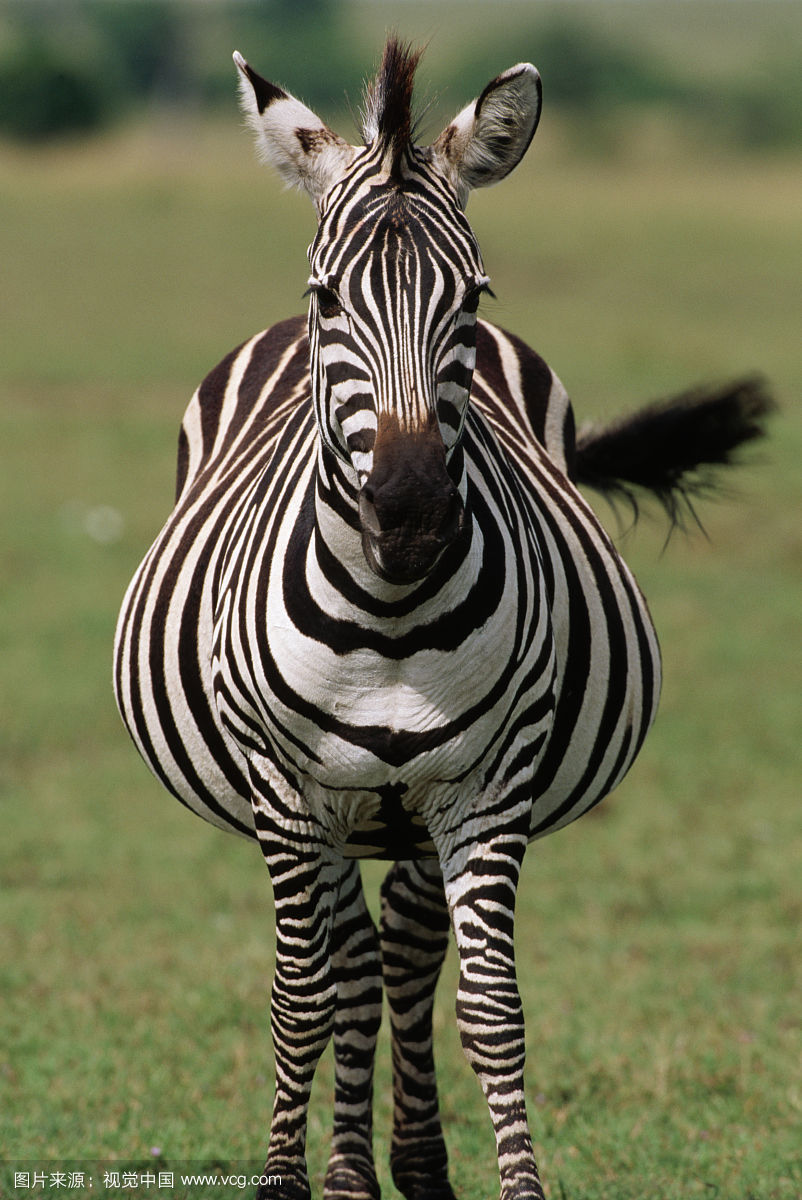 ����Ϊʲô�Ǻڰ��������ں������ǰ��� �������ϵ�������Ϊ��