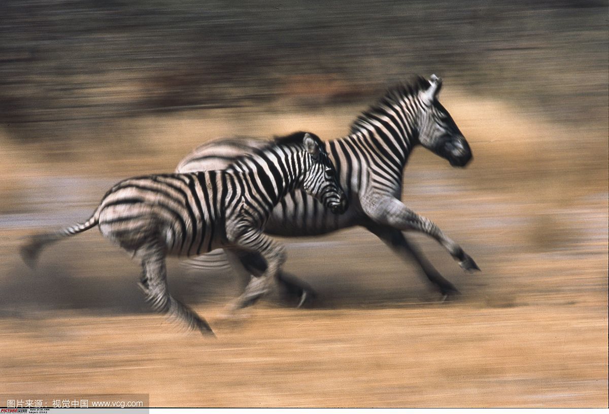 ����Ϊʲô�Ǻڰ��������ں������ǰ��� �������ϵ�������Ϊ��