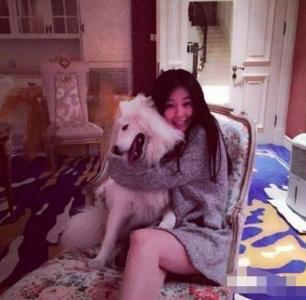 ������ͥ����ǿ�󸻶���������ʵ��ĸ����������ʲô�� ��������