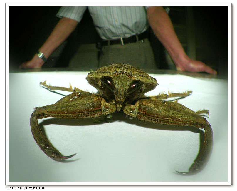 �����ô���ĵ������Ȼ�ܺó� �����ҧ���β��þ͵��Ż��ݰ�