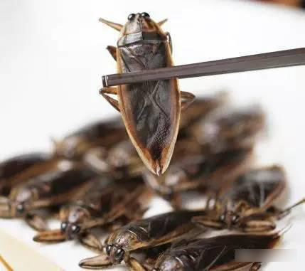 �����ô���ĵ������Ȼ�ܺó� �����ҧ���β��þ͵��Ż��ݰ�