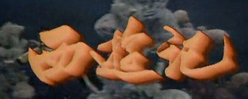 ���μ���������ʲô