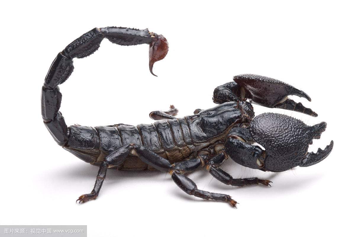 ����������Ы�����ֶ��ܰ��� �����Ы��ܳ��������׺ÿ���