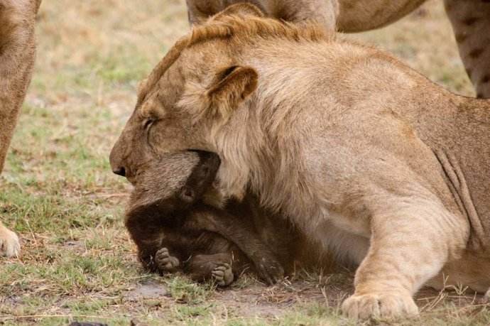 ������������η��Ķ��� ƽͷ�����������ı������������������