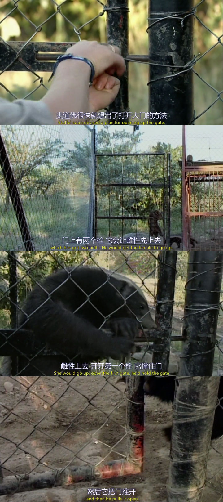 ������������η��Ķ��� ƽͷ�����������ı������������������