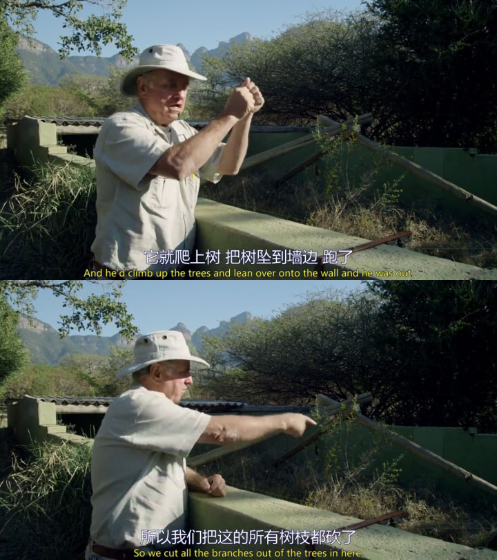 ������������η��Ķ��� ƽͷ�����������ı������������������