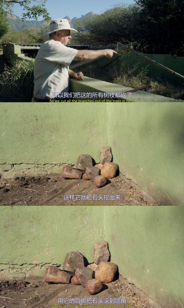 ������������η��Ķ��� ƽͷ�����������ı������������������